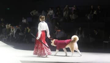 中国A株でペット経済ブーム