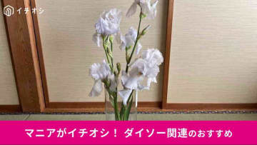 【ダイソー】500円「フラワースタンド」は売ってる？「割れにくい花瓶」レビュー