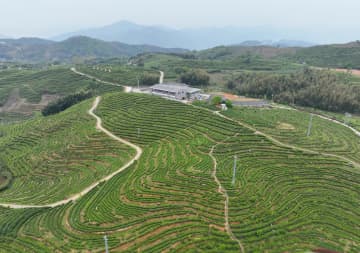 世界農業遺産に中国の3カ所が新たに認定