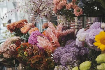関西最大級の植物イベント！神戸で約75店舗が集まる「天下一植物界」開催