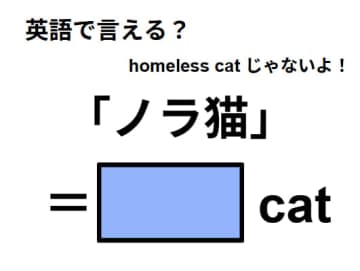 英語で「ノラ猫」はなんて言う？