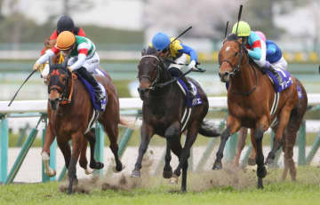 ポタジェの競走馬登録抹消…種牡馬入り