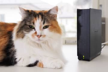 NASを自宅で便利に使う「IPアドレス固定」の方法〜アイ・オー「HDL1-LA02」で実践する【自宅Wi-Fi使いこなし】