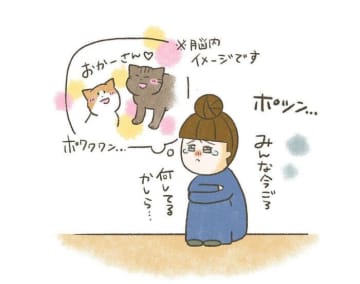 帰宅後に猫吸い再開！出張から帰ったらモフモフタイムが待っていた【連載】交通事故にあった猫を拾いました#210
