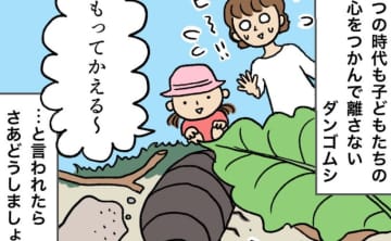 子どもの「ダンゴムシ愛」は大切にしたいけど、虫は苦手。そんなママに贈る、ダンゴムシの飼育法【マンガでわかる！おっかなびっくり飼育】