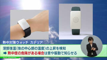 熱中症対策にスタートアップの技術を活用！体の中心部の温度の上昇を検知して危険を知らせる「熱中対策ウォッチ カナリア」