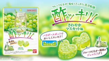 酢ッキリ、さわやかなグミが新登場！独自の『パウダースポット』で爽快感とフルーツビネガー風味の果実感を味わえる　～全国量販店の菓子売り場等にて5月26日(月)より発売～