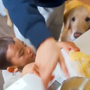 １歳の男の子と大型犬が『一緒にクッキーを作ったら』…カオスな光景と微笑ましい結末が10万再生「粉まみれｗ」「可愛いが溢れてる」と絶賛