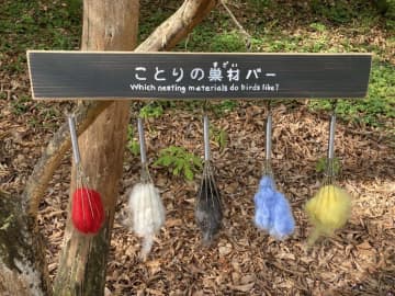 森の中で発見された〝小鳥のためのBAR〟に3.2万人注目　「こういうの和む」「絵本の世界かよ」