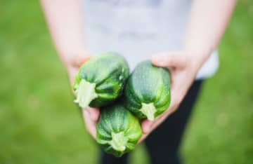 野菜収穫体験ができるBBQがスタート‼子供1800円＆大人2300円♪なんと野菜食べ放題