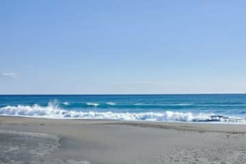 ペットボトルに生け捕りされた「海の危険生物」に思わず二度見　「どうやって捕まえるんだろ」