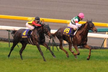 今週のオークスは雨？　当たる年と当たらない年でズレる勝ち時計の悩み、馬場が重いと有利なのは