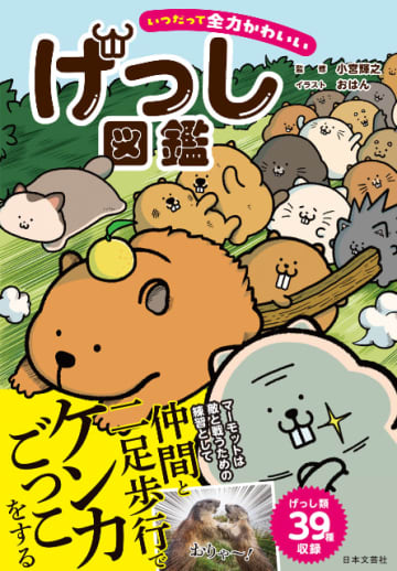 マーモット、カピバラ、デグー……超絶かわいい生き物の生態とは？『いつだって全力かわいい げっし図鑑』