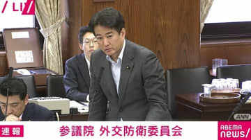 テスト問題が簡単すぎるせい？「外国人の人身事故率は日本人の約1.7倍」柳ケ瀬議員が国会で「外免切替」を議論