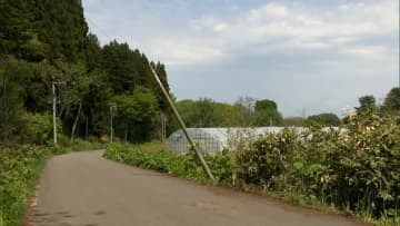 スクールバスが電柱に突っ込む…小学生のきょうだい2人搬送　20代男性運転手「ウトウトして事故起こした」　北海道・八雲町