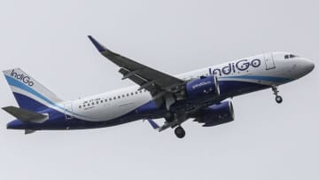 旅客機がひょうの嵐に遭遇、機体に甚大な損傷も無事着陸　インド