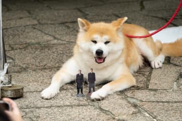 シンペイ役の秋田犬・千尋ちゃんに観客も興奮　『室井慎次』×あきた美彩館コラボイベント