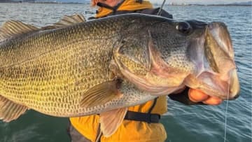 「その期間までが勝負でした」春のロクマルラッシュ終了！今年釣れまくったルアーの組み合わせはコレ！