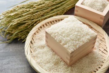 調理実習のカレーでコメ使えず　娘の話に母絶句…“売るほどある”大臣発言に怒り「危機感を持って」