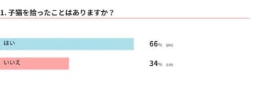 【調査】子猫を拾った経験のある人は何割？　獣医師に「拾ったら最初にすべきこと」も聞いた！