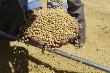 ブラジルの大豆輸出、4月は3.9％増　中国が最大の輸出先