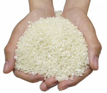 「それを進次郎氏がそのまま言う」石破総理“コメ5キロ3000円台”の問題点