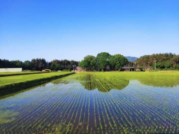 「5キロ3000円台」表明の石破首相に「2000円台だ」　立憲議員投稿が波紋の中...小泉新農水相も「できれば2000円台で」