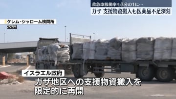 ガザ地区、トラック約90台分の支援物資搬入　深刻な医薬品不足続く