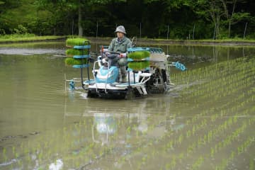 福島・飯舘でコメ出荷向け田植え　原発事故後初、安全性確認市場へ