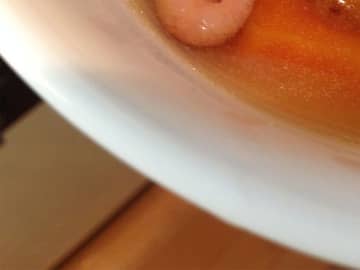 ポトフの写真に、笑う人が続出！　その理由が…「疲れが吹っ飛んだ」「これは食べにくい」