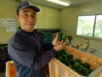 脱サラ農家のリアルに学ぶ！ ゼロからはじめる“農ある暮らし”の一歩