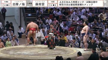 「ガチ映ってる」「気品が違う」大相撲中継に黄色のお召し物が美しい女性の姿 反響相次ぐ