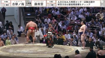 「ガチ映ってる」「気品が違う」大相撲中継に黄色のお召し物が美しい女性の姿 反響相次ぐ