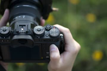 沖縄本島で出会った1羽の渡り鳥を撮影　個性的な見た目に「思わず検索した」「キャラ立ちの良い顔」