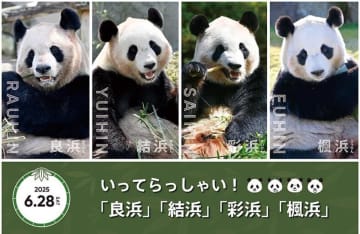 和歌山のパンダ4頭、6月28日に中国へ返還