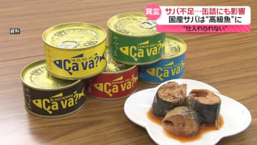 サバ不足…缶詰にも影響　国産は“高級魚”に　救世主は「海外冷凍サバ」？