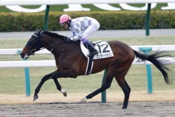武豊騎手今週の騎乗馬…ドウデュース半弟エンダードラゴンが出走