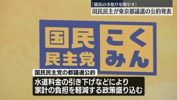 「都民の手取りを増やす」国民民主党が都議選の公約発表
