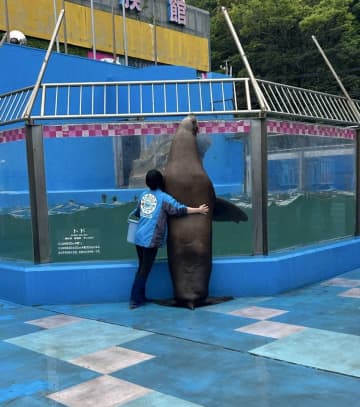 水族館で「ラブラブカップル」がデートしてると思ったら...　まさかの〝正体〟に2.7万人騒然