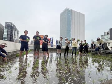 ビルの屋上で酒米づくり？　日本酒のトップメーカーが挑み続ける天空農園