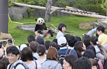 和歌山の“生パンダ”最後の週末　中国へ帰国、来場客別れを惜しむ