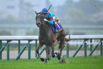 【オークス】エンブロイダリーは487kg…出走馬の調教後の馬体重