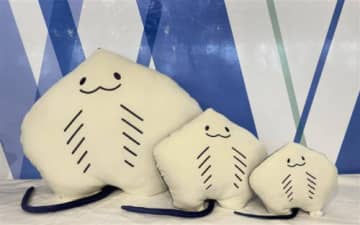 四国水族館エイくん、ぬいぐるみくじに登場