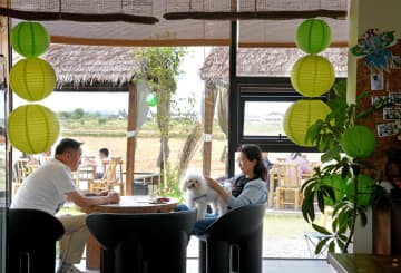 コーヒーと田園風景　上海で広がる「村カフェ」人気