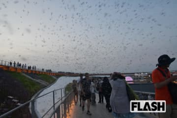 【空が黒く染まった！】大阪万博　ユスリカ大量発生を徹底検証…根本原因は鳥が消えた“環境破壊”3年前の警告が現実に