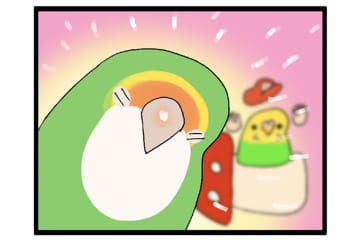 ほんの数秒でも飼い主を探すインコ／同居インコに嫉妬するゴルちゃん【鳥マンガ＃52】