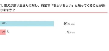 犬が前足で「ちょいちょい」と飼い主さんを触るのはなぜ？　しぐさから読み取れる心理を獣医師が解説！