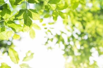 「夫を手放せたらどんなに身軽になるだろう…」69歳女性が今、心から願うこととは？