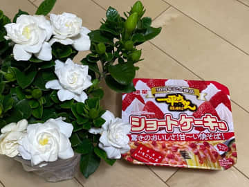 もらった白い花と焼きそば　花言葉の意味を知った母親は…「これは泣ける」「素敵すぎる」