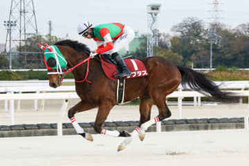ラプタスの競走馬登録抹消…ダート戦線で長年活躍